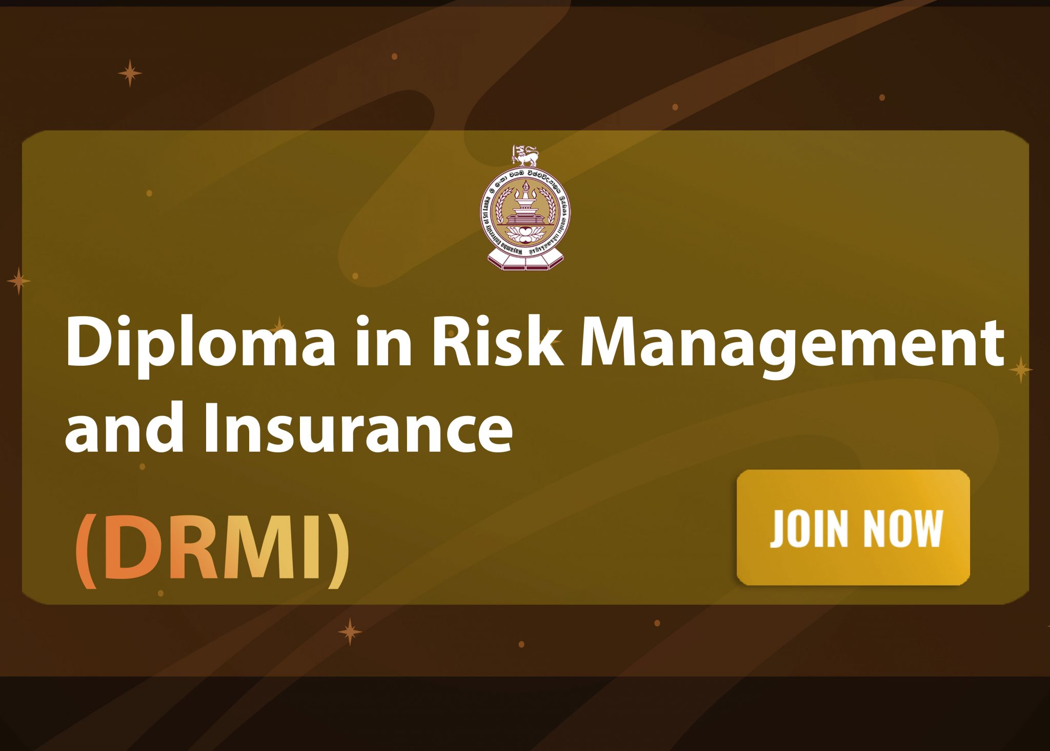 phd in risk management and insurance