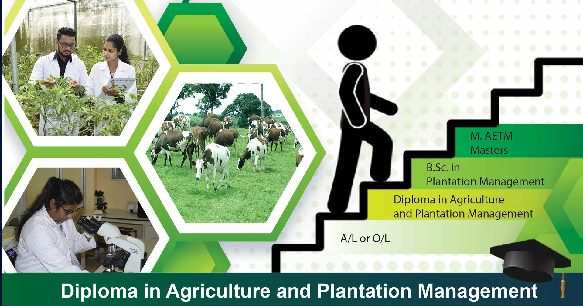 Diploma in Agriculture and Plantation Management